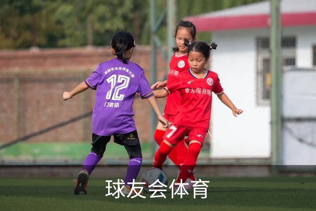 球友会体育公司介绍